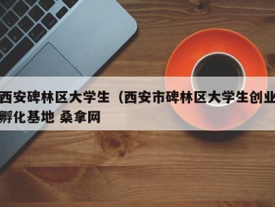 烟台西安碑林区大学生（西安市碑林区大学生创业孵化基地 桑拿网