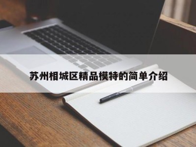 烟台苏州相城区精品模特的简单介绍