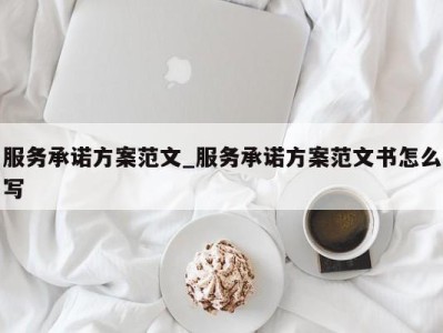 烟台服务承诺方案范文_服务承诺方案范文书怎么写 